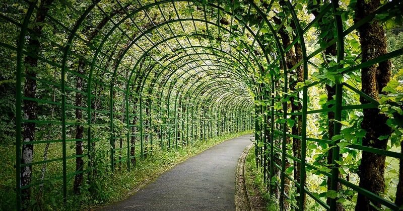 Pergola Brico Dépôt : le bon plan pour un jardin à petit prix