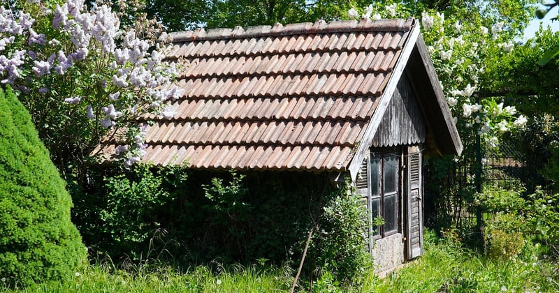 Pourquoi le desherbant puissant interdit fait trembler les jardiniers