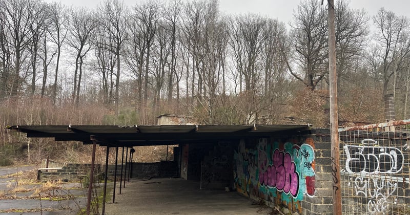 Carport Brico Dépôt : le guide pour bien choisir et payer moins cher