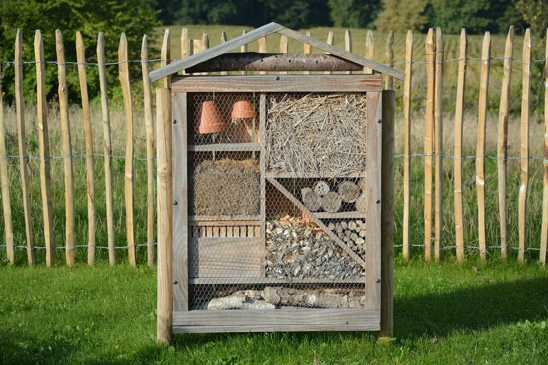 Comment personnaliser la cabane sans se ruiner