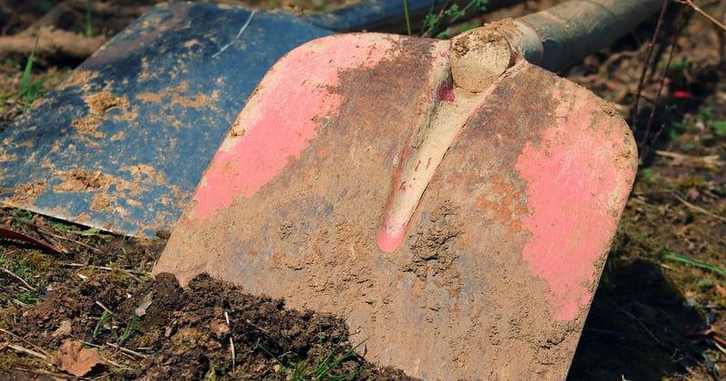 La boutique du jardinier : nos secrets pour un potager qui déborde de saveurs
